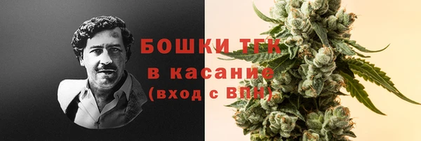 ECSTASY Медвежьегорск