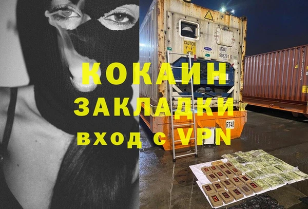 гашик Бежецк