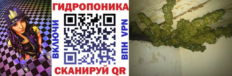 ОМГ ОМГ онион  Александровское  Бошки марихуана SATIVA & INDICA 